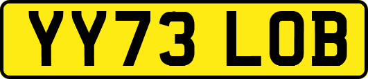 YY73LOB