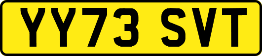 YY73SVT