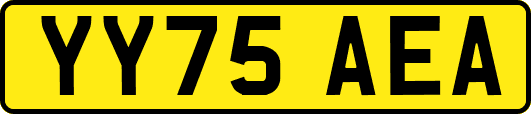 YY75AEA