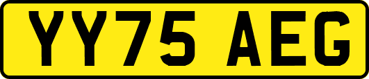YY75AEG