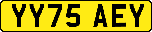 YY75AEY