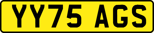 YY75AGS