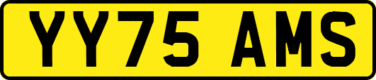 YY75AMS