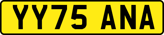 YY75ANA