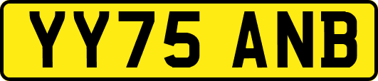 YY75ANB