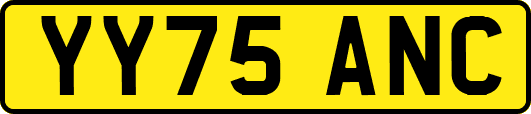 YY75ANC