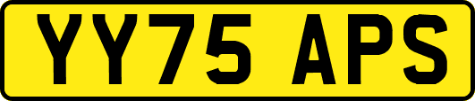 YY75APS