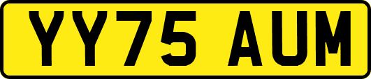 YY75AUM