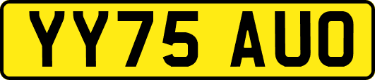 YY75AUO