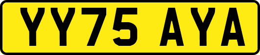 YY75AYA