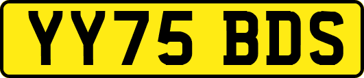 YY75BDS
