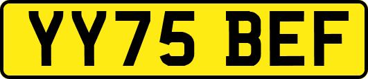 YY75BEF
