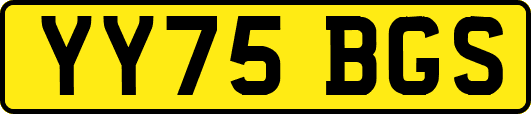 YY75BGS