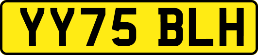 YY75BLH