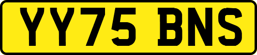 YY75BNS