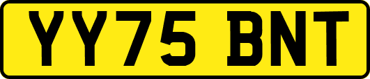YY75BNT