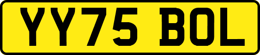 YY75BOL