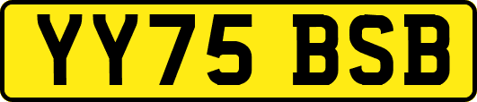 YY75BSB