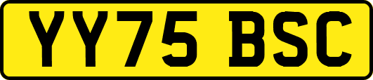 YY75BSC