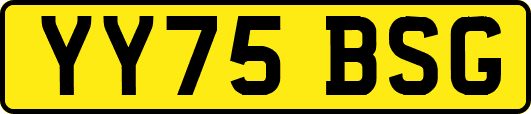 YY75BSG