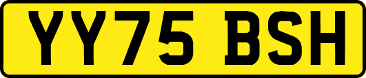 YY75BSH