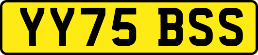YY75BSS