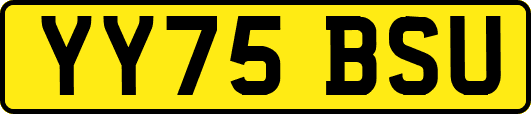 YY75BSU