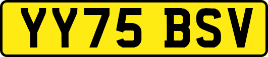 YY75BSV