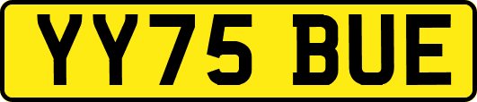 YY75BUE