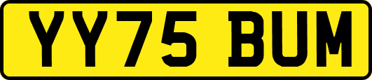 YY75BUM