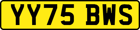 YY75BWS