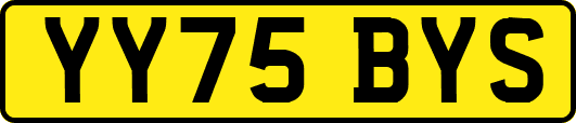 YY75BYS