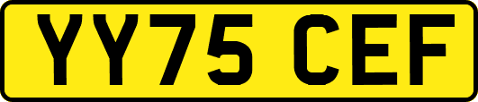 YY75CEF