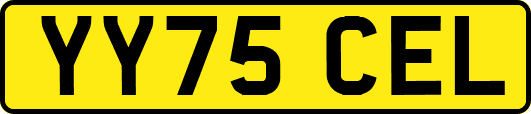 YY75CEL