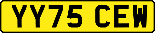 YY75CEW