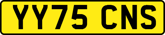 YY75CNS
