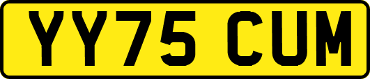 YY75CUM