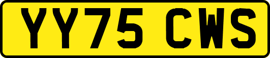 YY75CWS