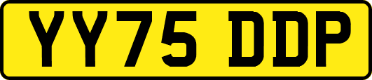 YY75DDP