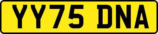 YY75DNA