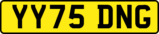 YY75DNG
