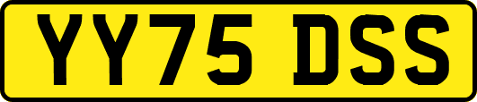 YY75DSS