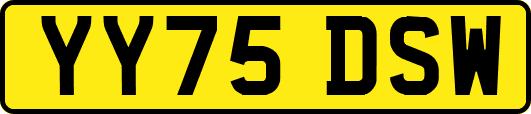 YY75DSW