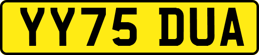 YY75DUA
