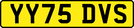 YY75DVS