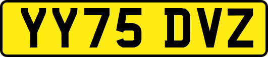 YY75DVZ