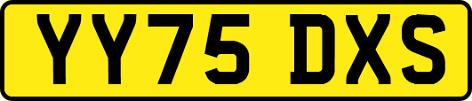 YY75DXS