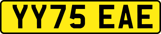 YY75EAE