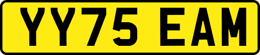 YY75EAM