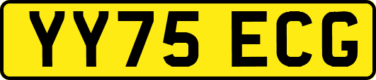 YY75ECG